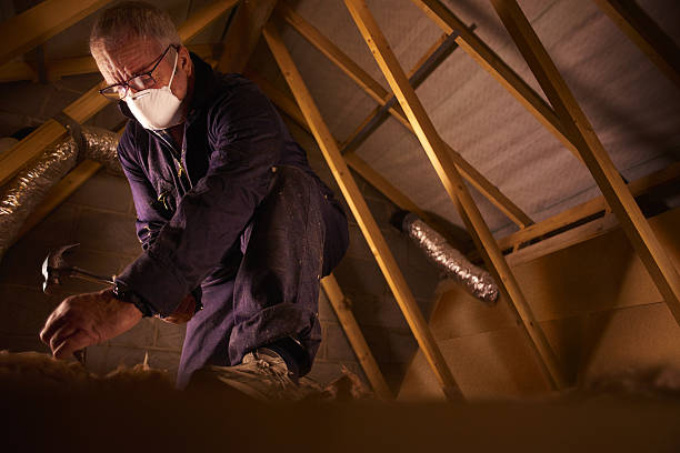 Types of Insulation We Offer in Darrington, WA
